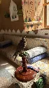 FullSizeRender-15.webp