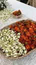 Copy of IMG_7884.webp