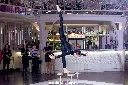 Copy of IMG_8114.webp