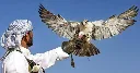 images (14).webp