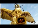 youtube - [Video]
