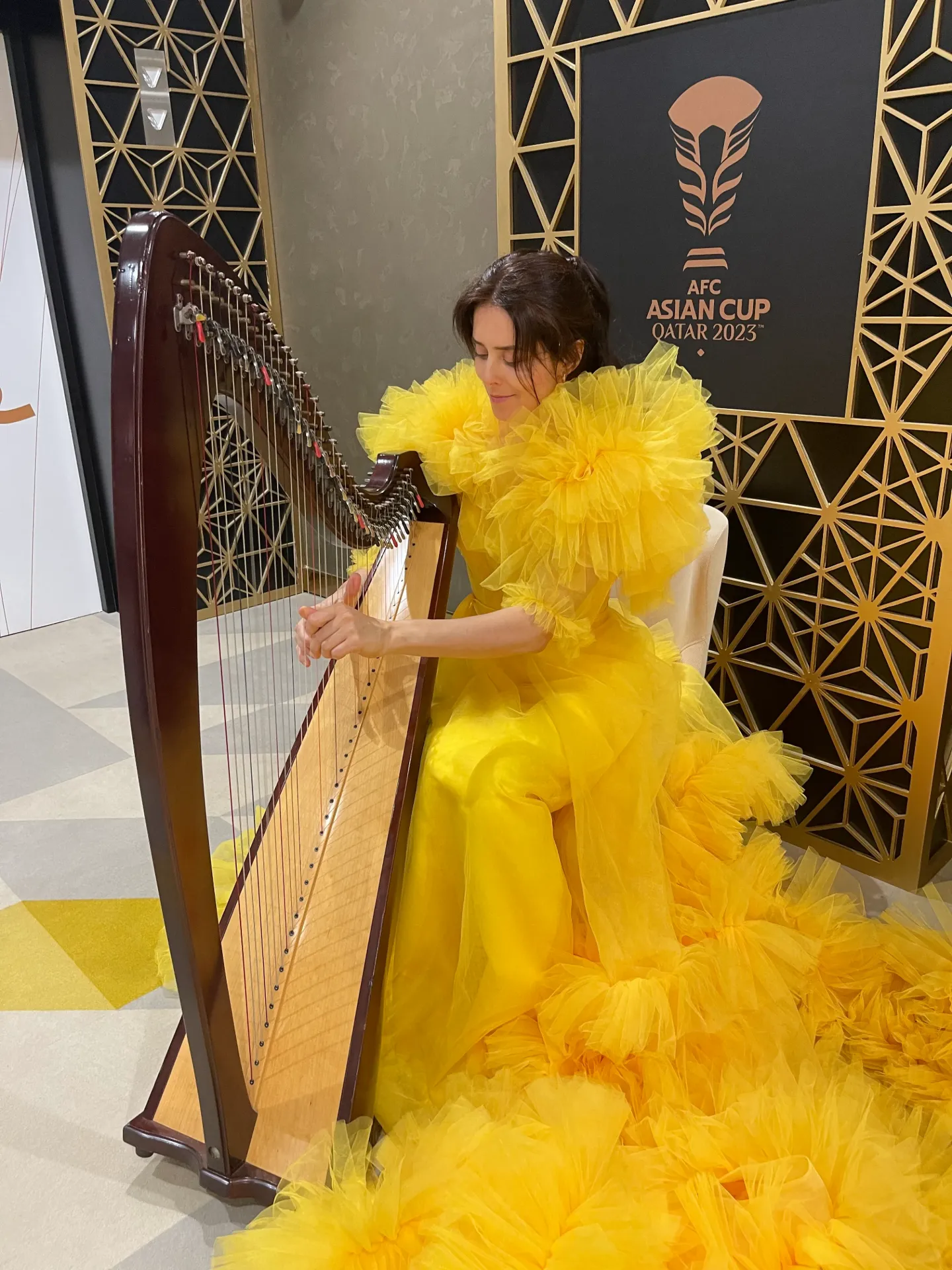 Harpist (1) - Acoustic