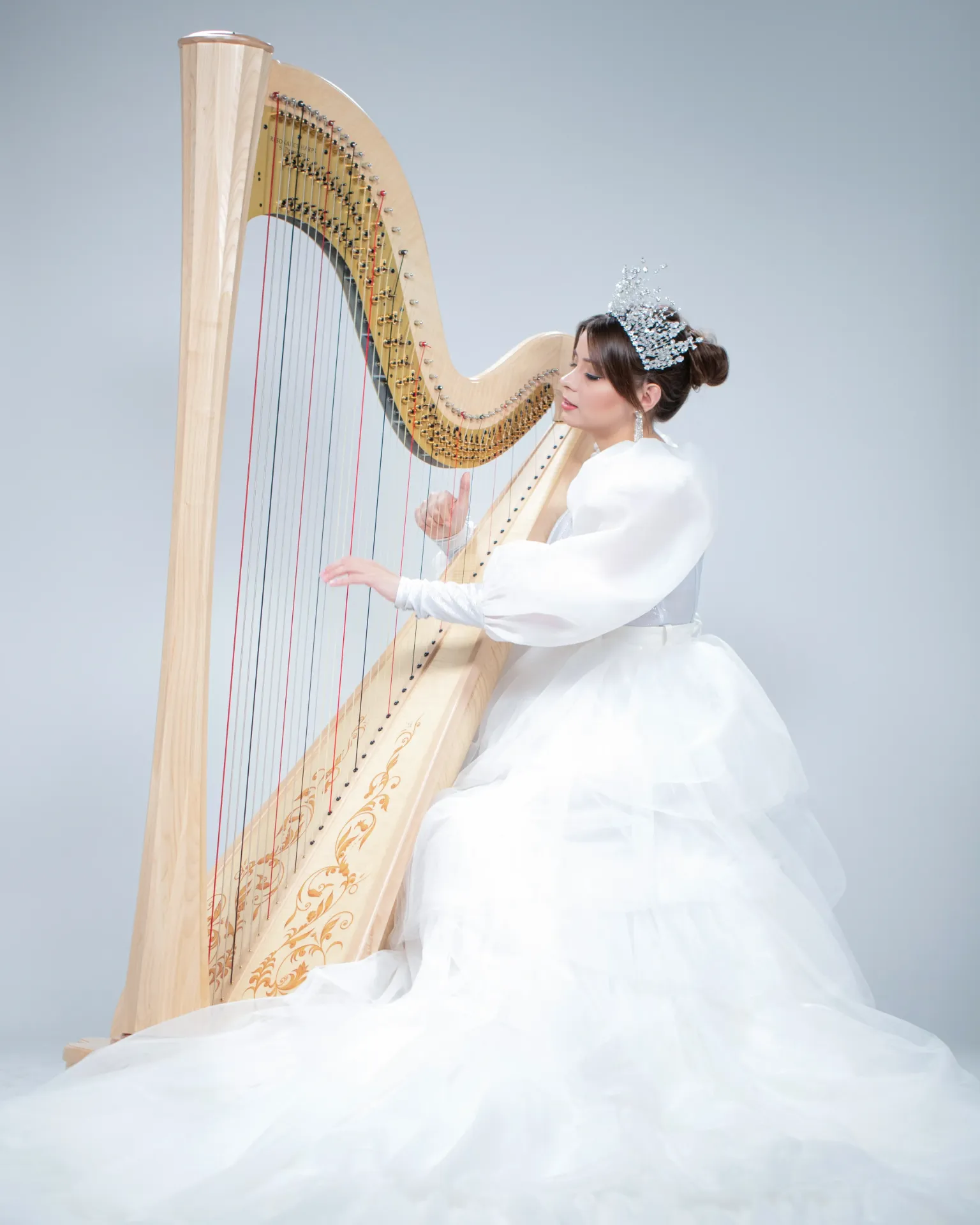 Harpist (2) - Acoustic
