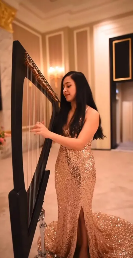 Harpist (3) - Electrical