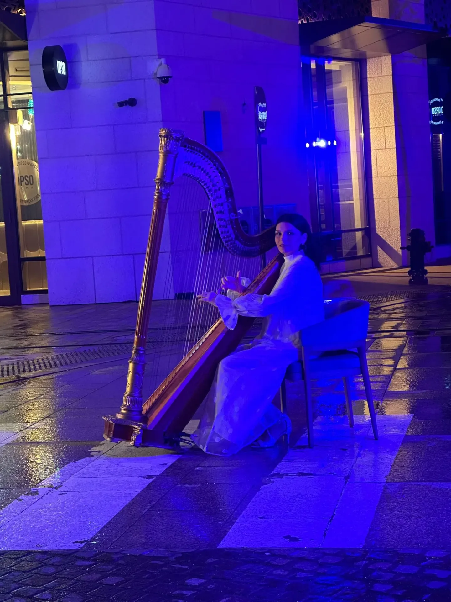 Hristina – Harpist