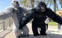 Inflatable Gorillas