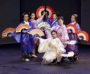 Japanese Dance Show