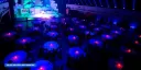LED-Pixel Vases