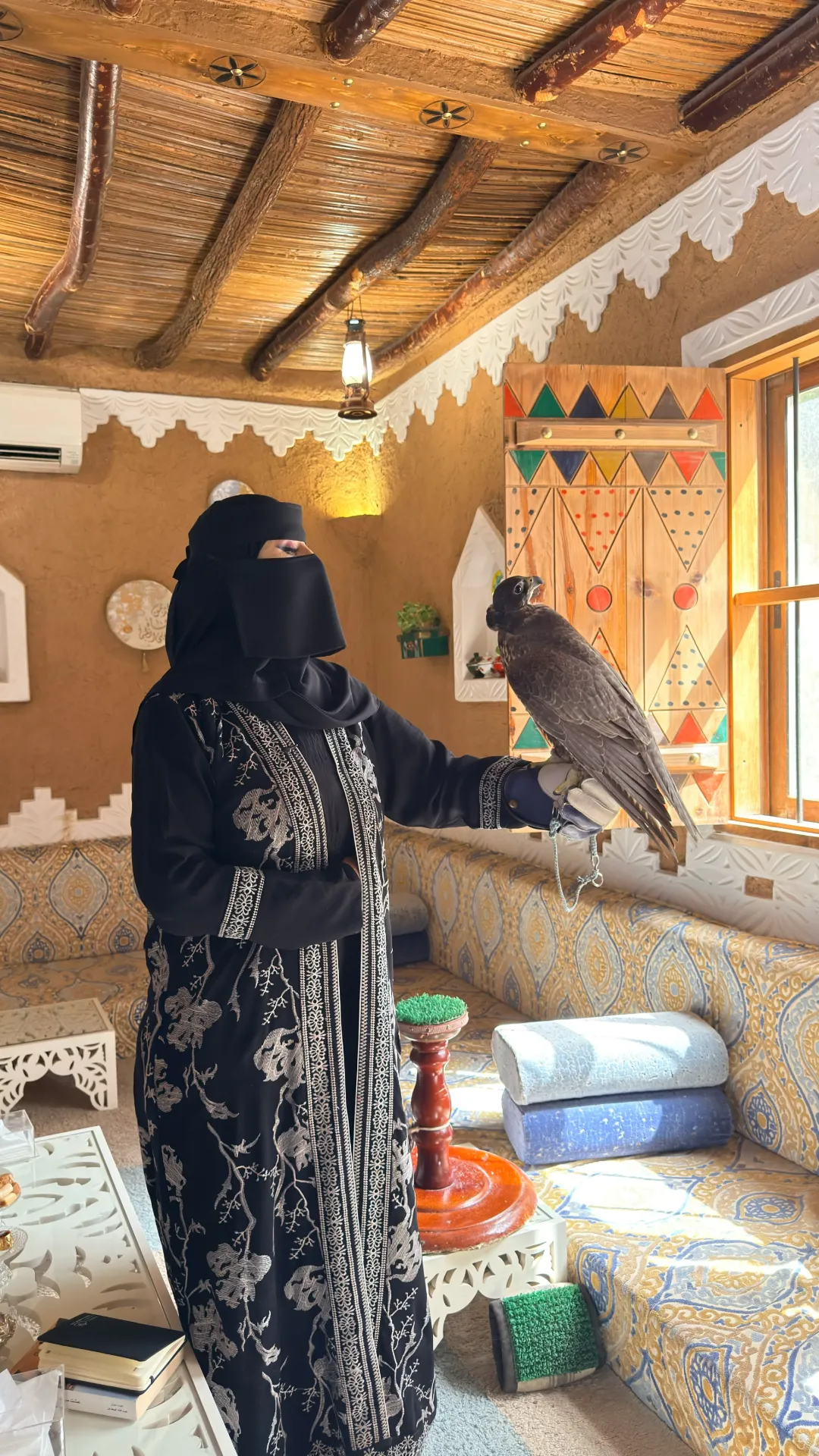 Falcon Lady
